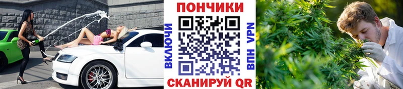 как найти закладки  Усть-Катав  Конопля индика 